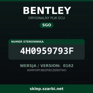 Oryginalny plik SGO BENTLEY 4H0959793F wersja 0162 - sklep szarbi.net
