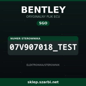 Oryginalny plik SGO BENTLEY 07V907018_TEST - sklep szarbi.net