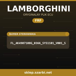 Oryginalny plik FRF LAMBORGHINI FL_4K4907108G_0366_SYS1101_V001_S - sklep szarbi.net