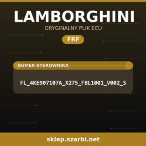 Oryginalny plik FRF LAMBORGHINI FL_4KE907107A_X275_FBL1001_V002_S - sklep szarbi.net