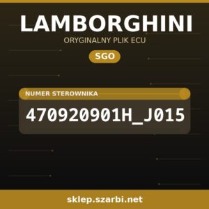Oryginalny plik SGO LAMBORGHINI 470920901H_J015 - sklep szarbi.net