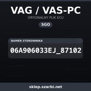 Oryginalny plik SGO VAG / VAS-PC 06A906033EJ_87102 - sklep szarbi.net
