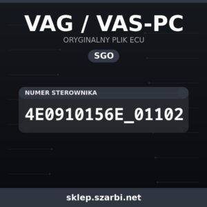 Oryginalny plik SGO VAG / VAS-PC 4E0910156E_01102 - sklep szarbi.net